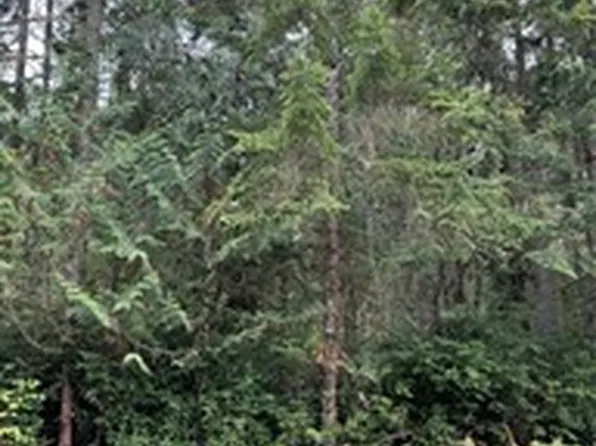 10508 Anchor Place, Anderson Island, WA 98303