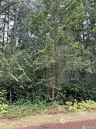 10508 Anchor Place photo 1