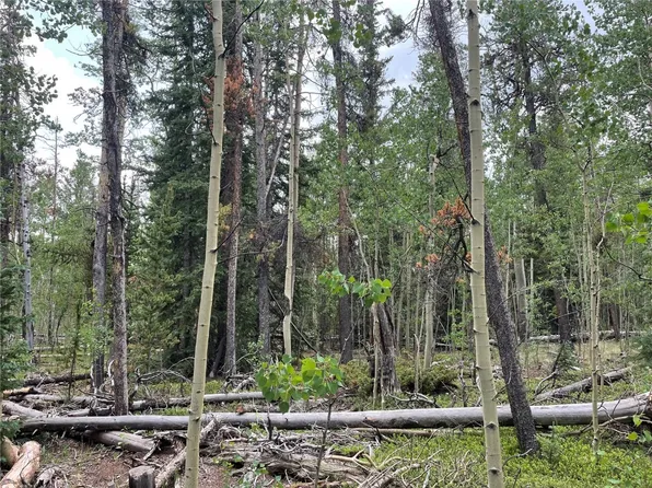 0 Rye Ct, Fairplay, CO 80440