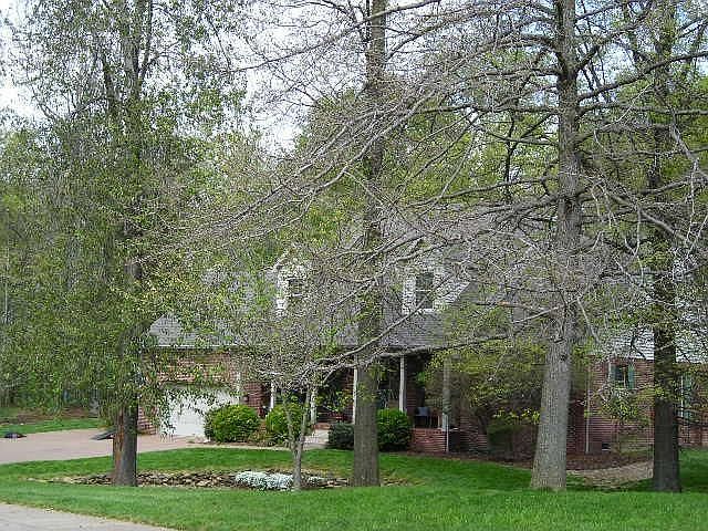 1st image of 7344 Shadow Brook Dr