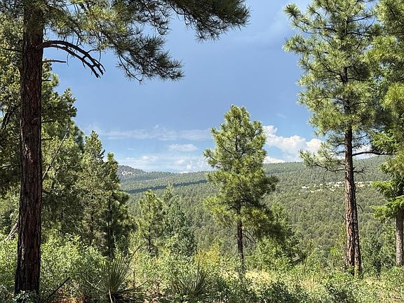 2nd image of 21 Los Nidos Ln