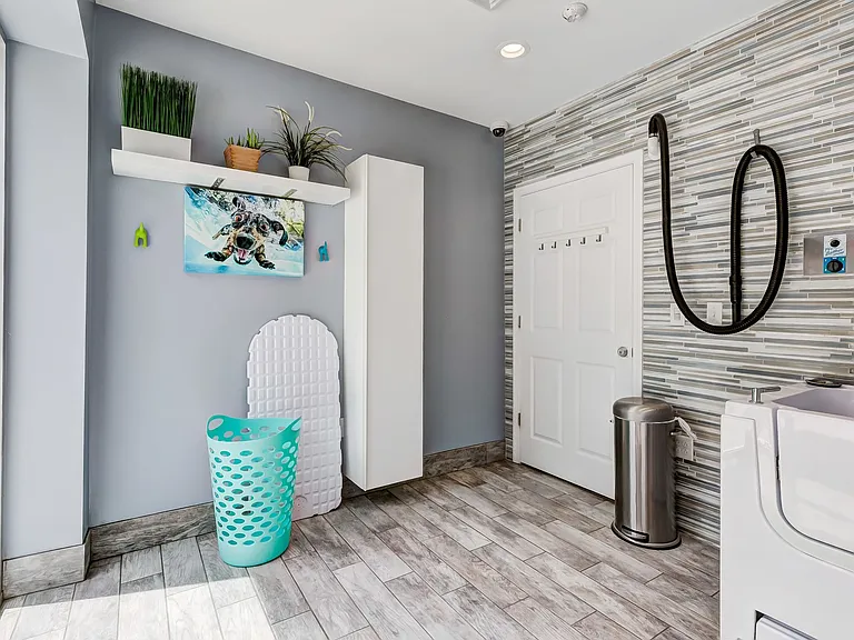 Pet Spa
