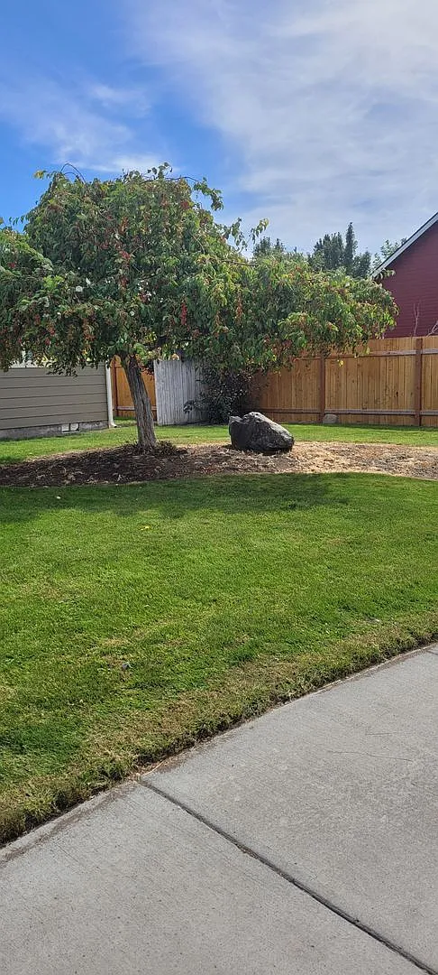 Cozy home on large lot w/fenced backyard — Photo 3