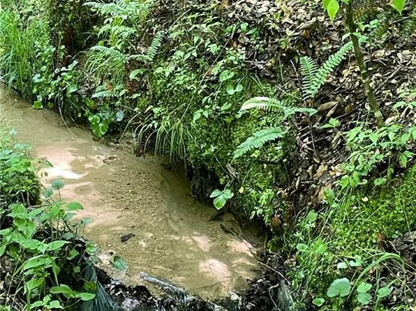 0 Raccoon Run Ln #14, Jonesville, NC 28642