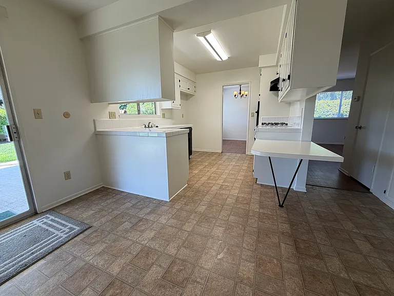 545 Cycod Pl — Photo 16