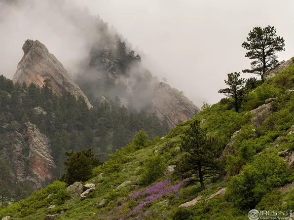 177 Artesian Dr, Eldorado Springs, CO 80025