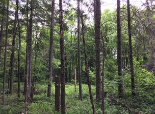 Driscoll Rd, Camden, NY 13316