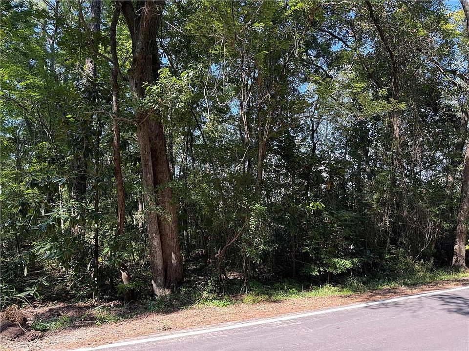 2nd image of 0 Higgins Rd