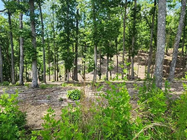 106 Split Creek Rd Lot 106, Morganton, GA 30560