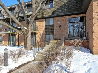 4 Oak Creek Dr APT 1509, Buffalo Grove, IL, 60089
