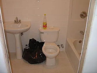 Rented by L.Nelson & Associates