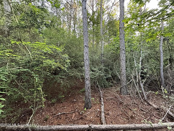 2nd image of N Lot 1 River Rd