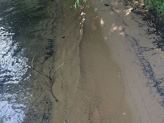 Hard packed sand beach. 