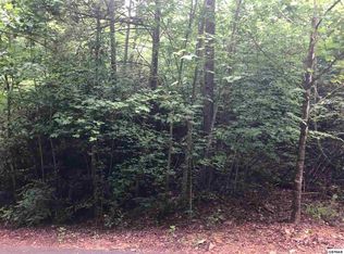 0 Sonshine Ridge Rd LOT 16, Cosby, TN 37722