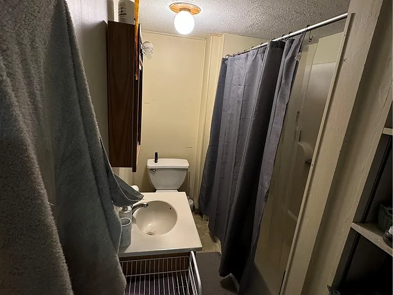 208 E Clark St #1 — Photo 15