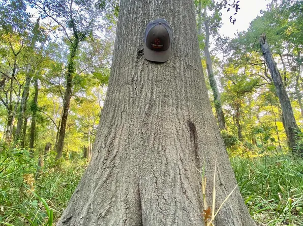 Cat Island Rd, Saint Francisville, LA 70775