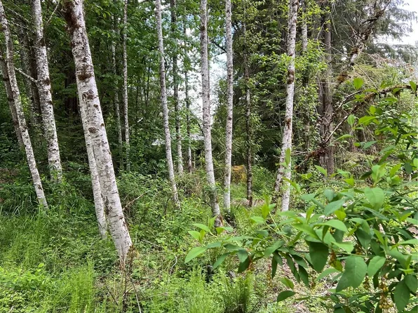16024 Low Lane, Deming, WA 98244