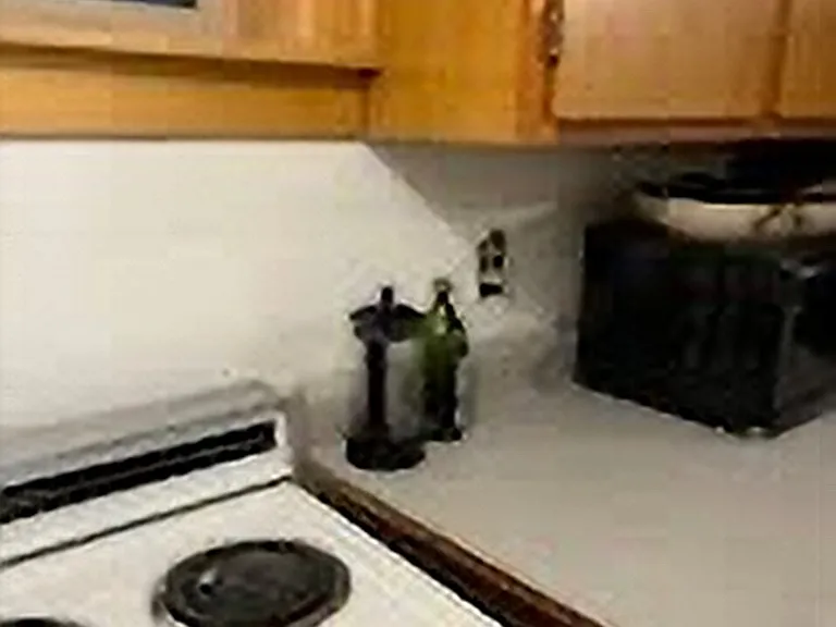 407 S 10th Ave #1 — Photo 10