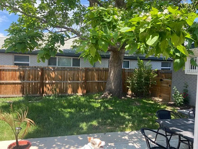 3207 Jasmine St — Photo 3