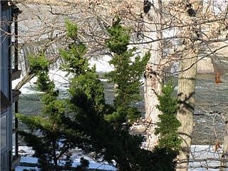 View from Deck