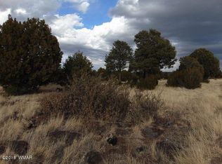 Tbd Nevermind Lncedar Rdg LOT 73, Vernon, AZ 85940