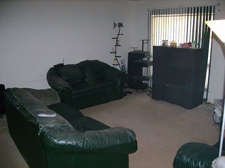 Large Living Room 