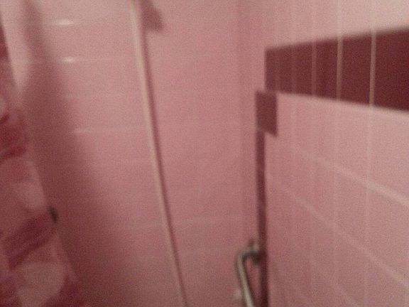 4th image of 1503 S Lindenwood St