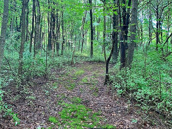 10 Acres with Groomed Trails