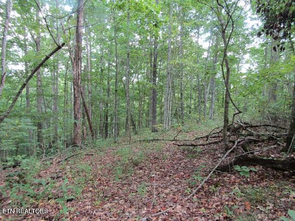 3rd image of 5017AC Backwoods Trl