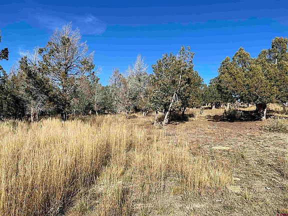 2nd image of TBD Road S.65