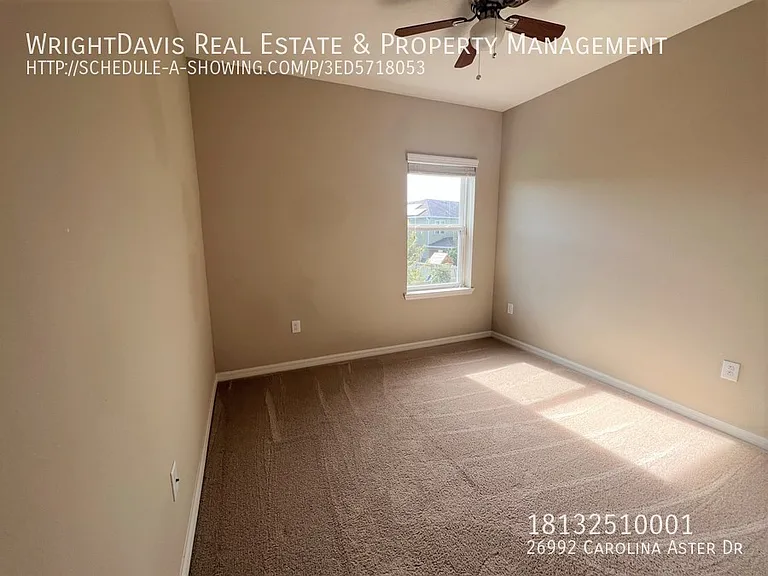 26992 Carolina Aster Dr — Photo 26