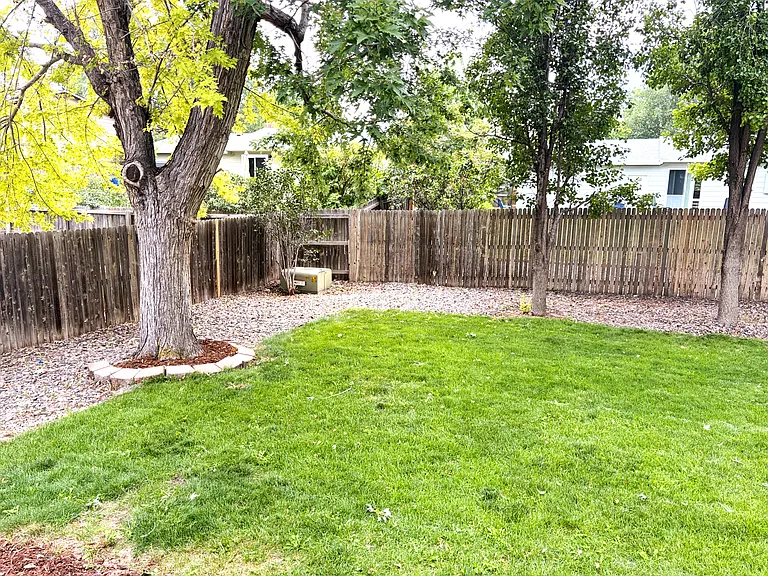 Immaculate back yard