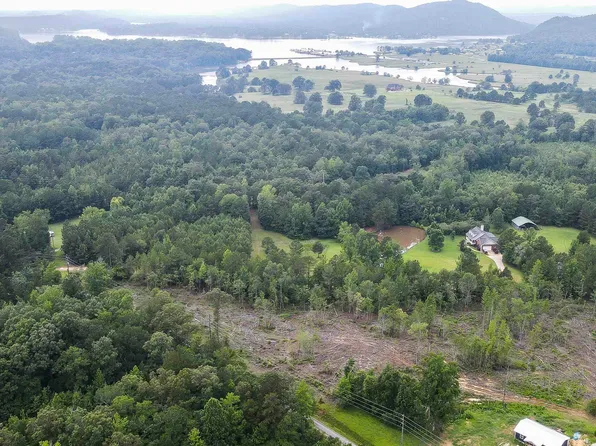 0 Cochran Springs Rd, Ohatchee, AL 36271