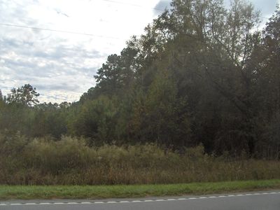 Brown Dr, Tillman, SC, 29943