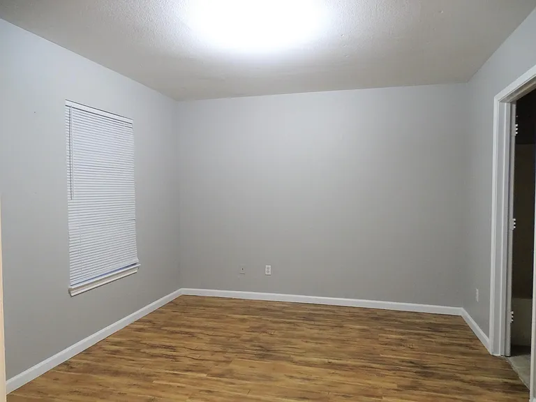 4338 Forest Point Dr — Photo 8