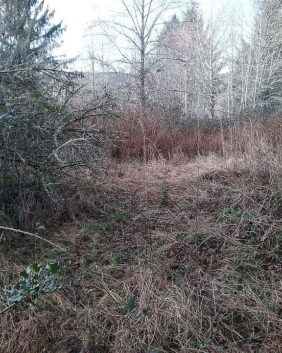 2nd image of 0 Covered Bridge Rd