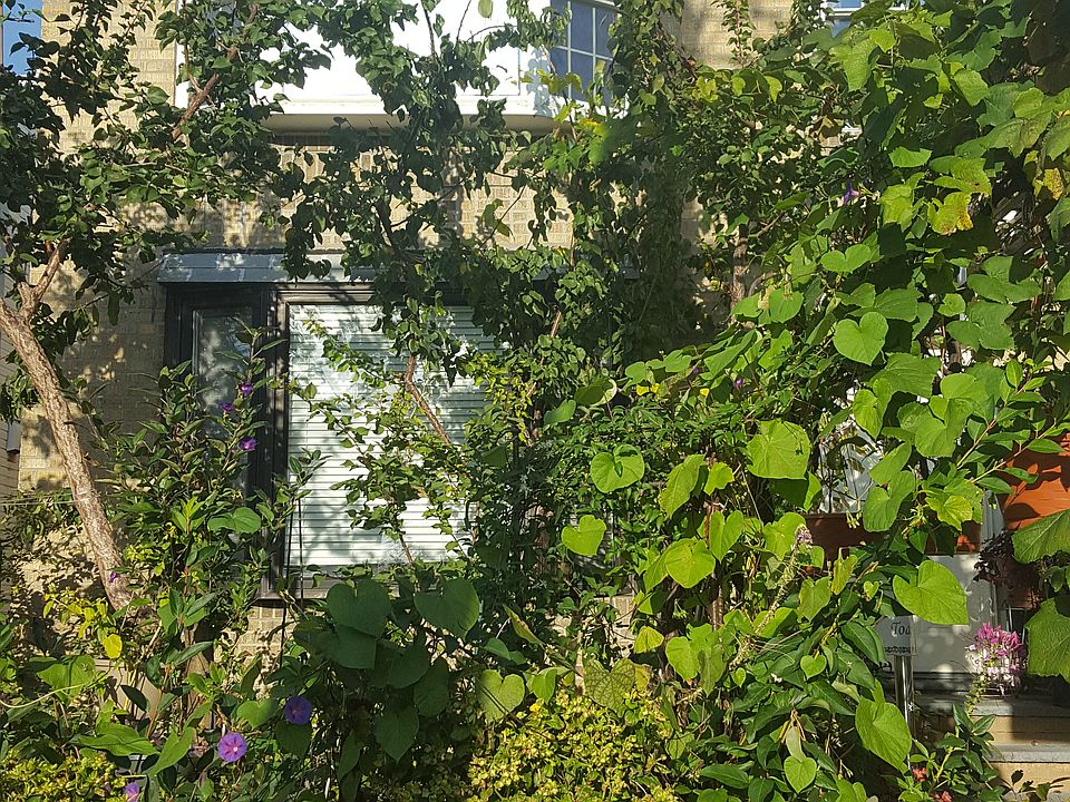 1st image of 2311 Ditmars Blvd