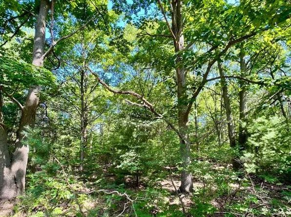 V/l Stanton St, West Olive, MI 49460