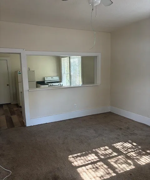 909 Lilly St #4 — Photo 2