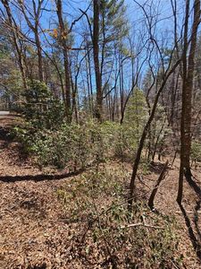 0 Etowah Dr #290, Ellijay, GA, 30540