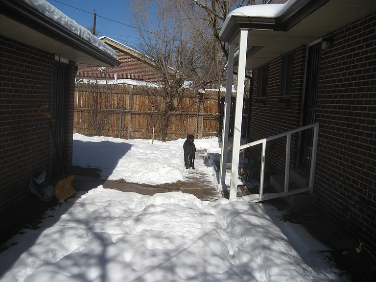 BBQ area in the backyard