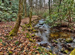 Tbd Sciota Rd, Elizabethton, TN 37643