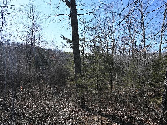 5th image of 146 Wyatt Ln Lot 10