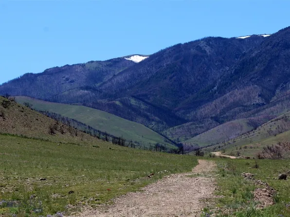 Nhn Ruby Creek Rd #946-8, Belfry, MT 59008