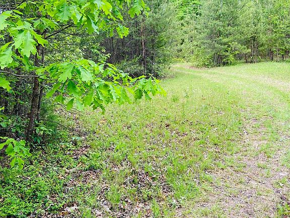 5th image of 2114 Brasstown Ln #15