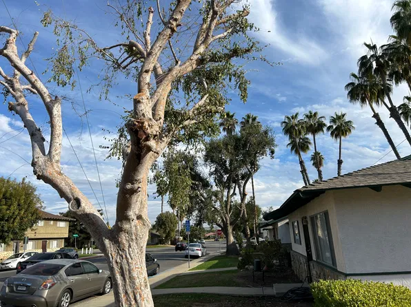 3921 Christmas Tree Ln, Bakersfield, CA 93306
