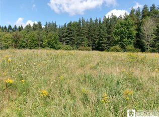 478 Dunham Rd LOT 5, Smyrna, NY 13464