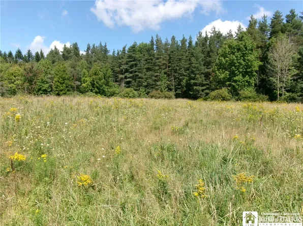 478 Dunham Rd Lot 5, Smyrna, NY 13464