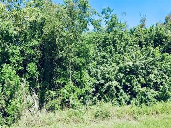 14276 Myakka Ave, Pt Charlotte, FL 33953