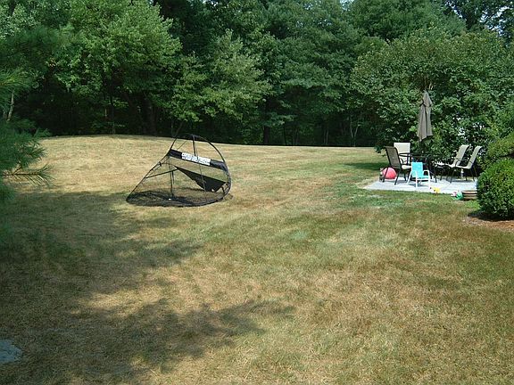 yard abutting conservation land